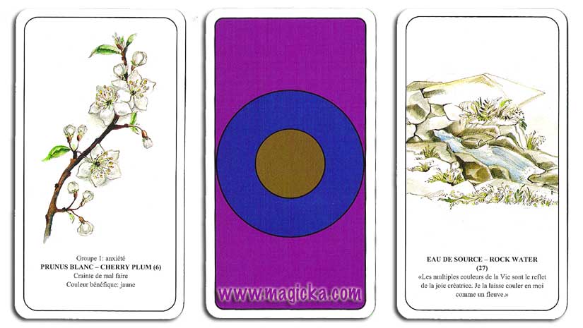 Cartes d'Harmonisation par les fleurs et les Couleurs cartes